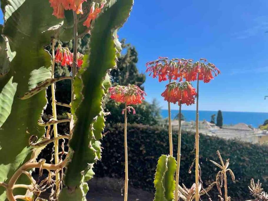 Appartamento Nervi Residenziale A Due Passi Dal Mare Genova Esterno foto